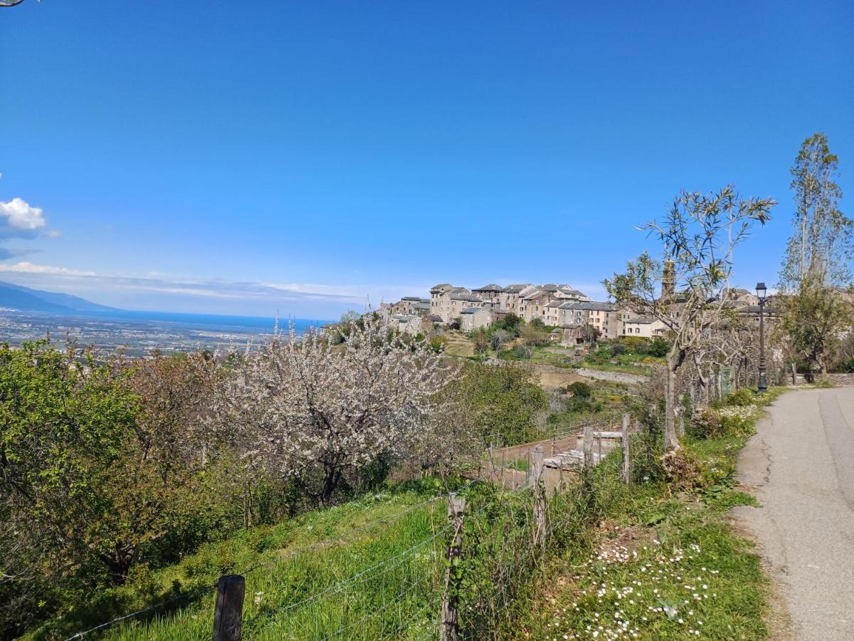 Casa Pernice Penta di Casinca 외부 사진